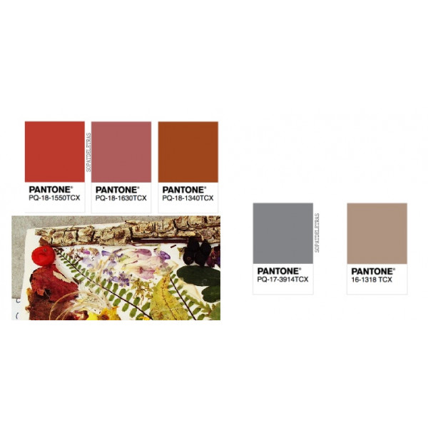 Colores de la naturaleza en otoño