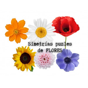 Simetrías puzles de flores