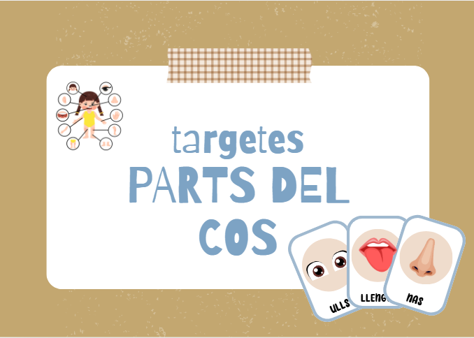 Targetes de vocabulari de les parts del cos