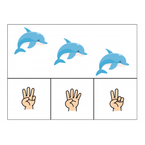 Targetes de comptatge amb dits