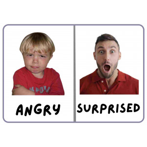 Let's go to the zoo pack