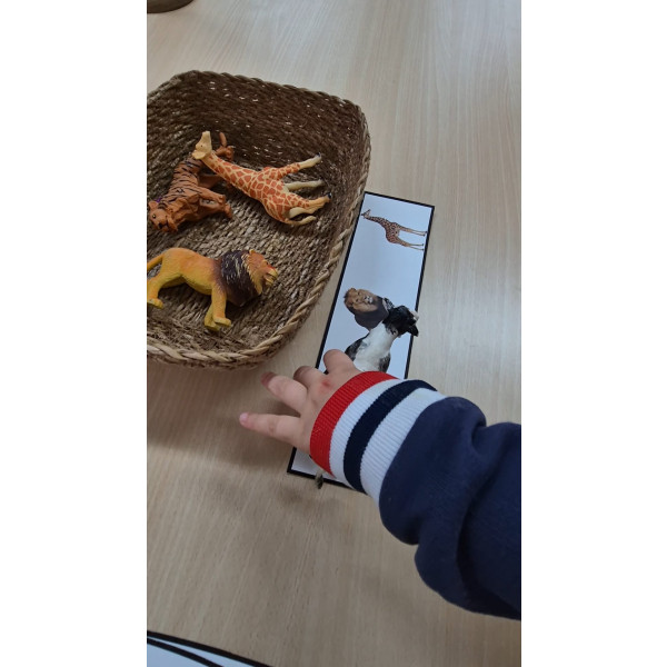 TARJETAS ANIMALES REALES