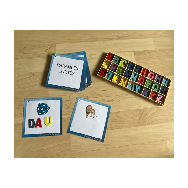 ESCRIPTURA DE PARAULES CURTES