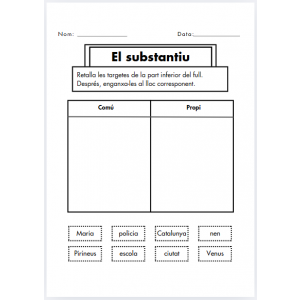 El substantiu: activitats variades