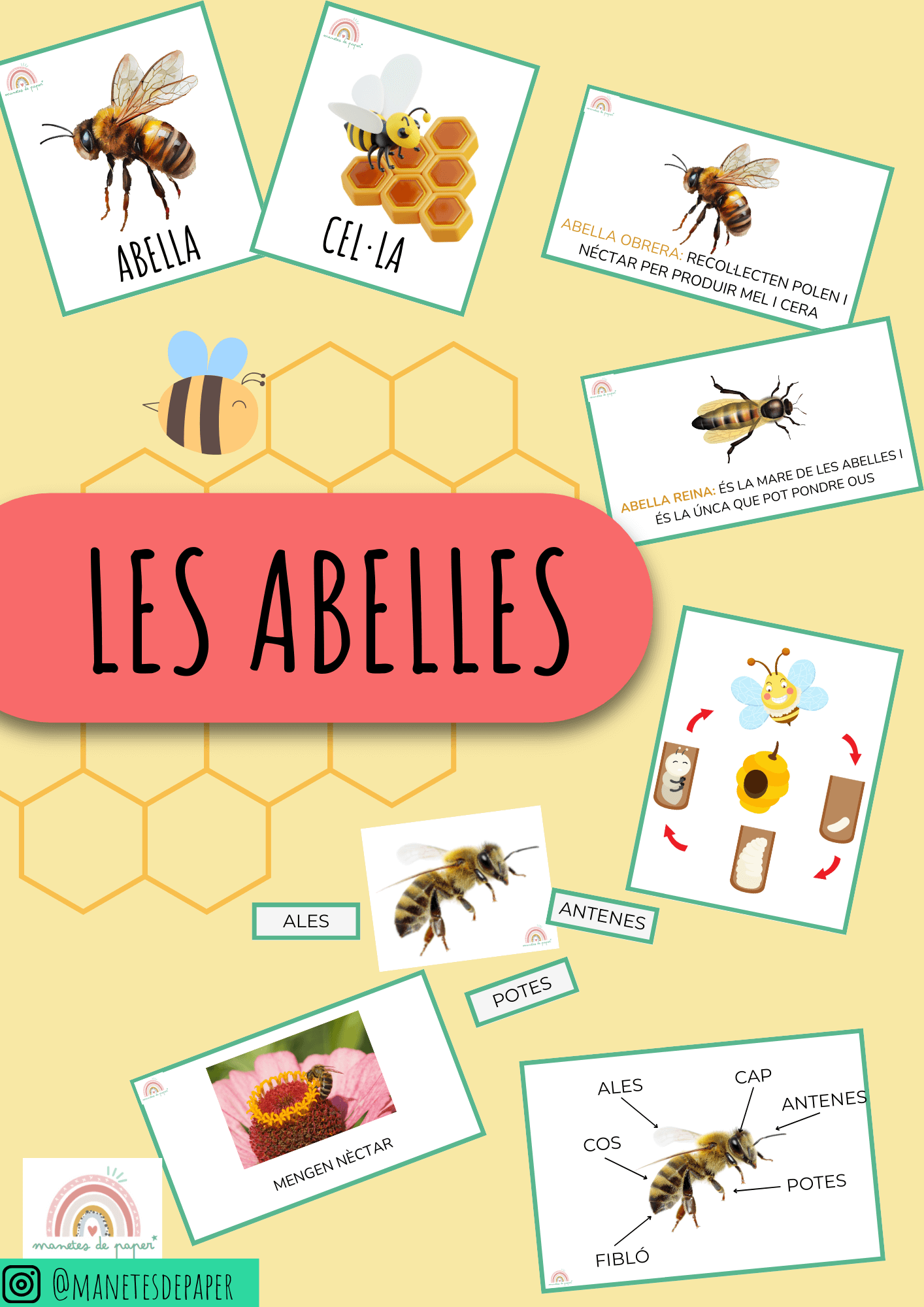 Projecte de les abelles