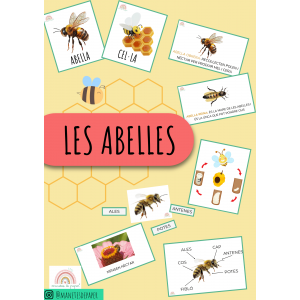 Projecte de les abelles