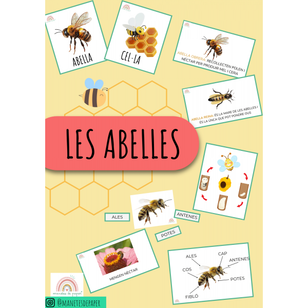 Projecte de les abelles