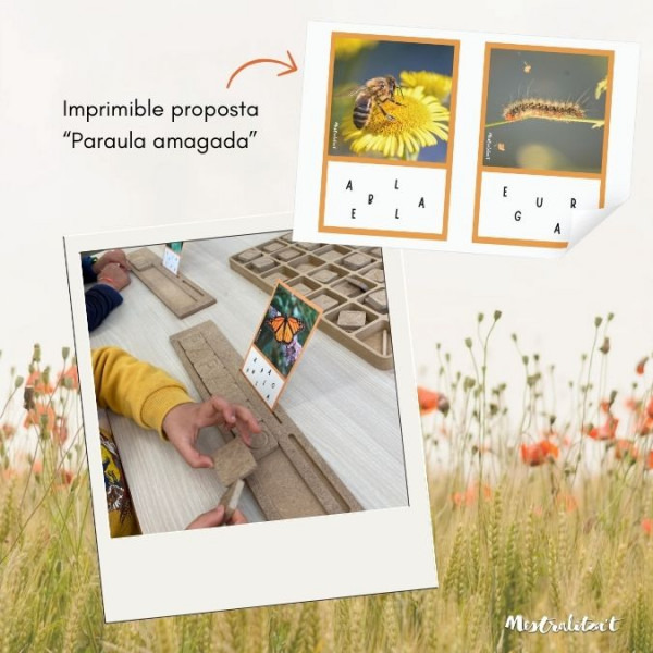 PACK MATERIALS I PROPOSTES PRIMAVERA