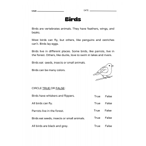 Birds learning situation