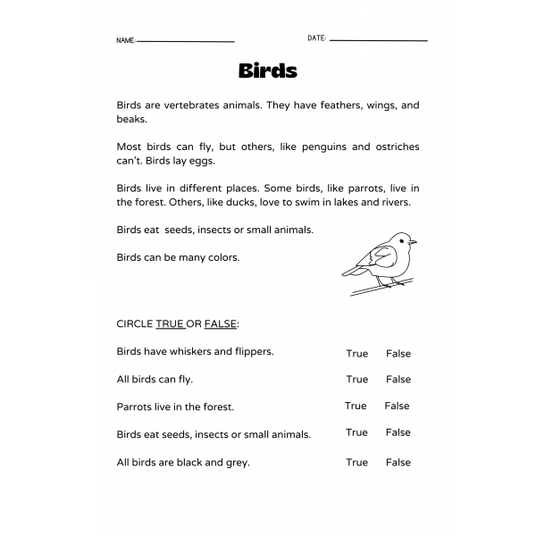 Birds learning situation