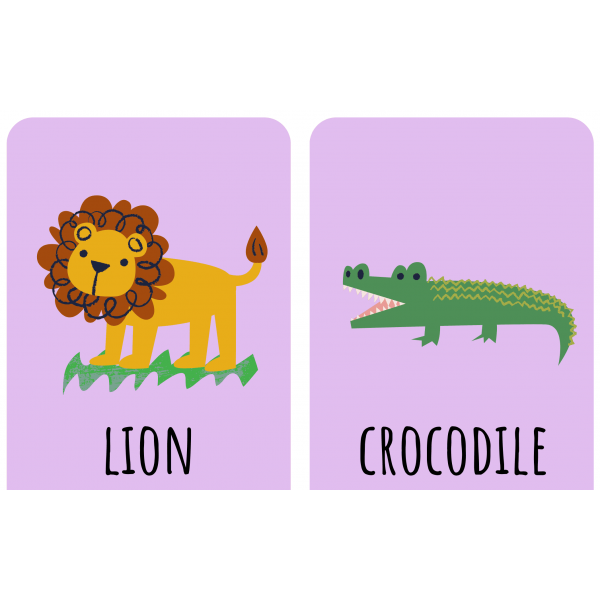 Animal Flashcards