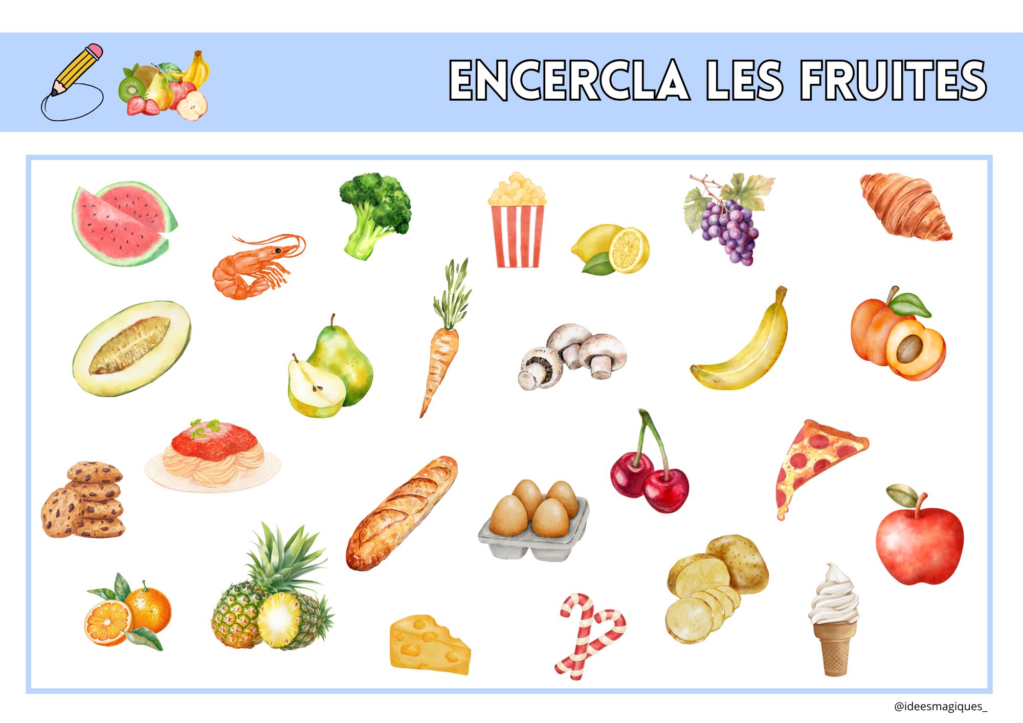 camps semàntics CONCEPTES