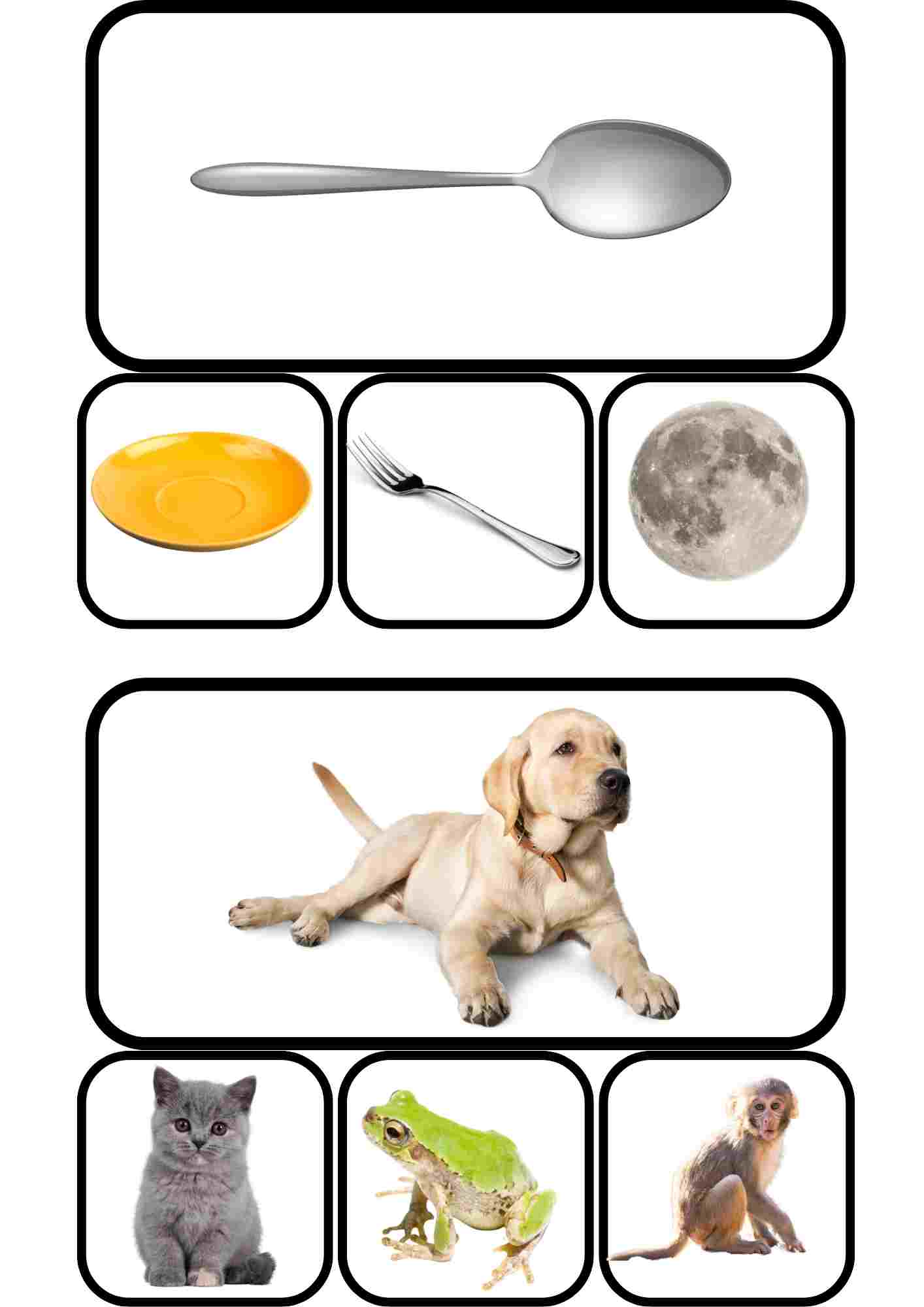 Conciencia fonológica en inglés: rimas