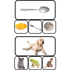 Conciencia fonológica en inglés: rimas