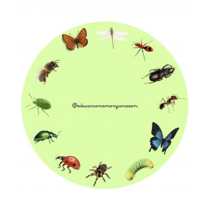 Ruleta Atención Flores e Insectos