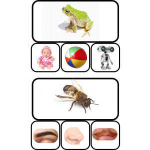 Consciència fonològica: paraules que rimen