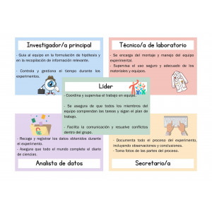 Roles de equipo laboratorio