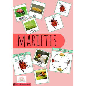 Vocabulari de les Marietes