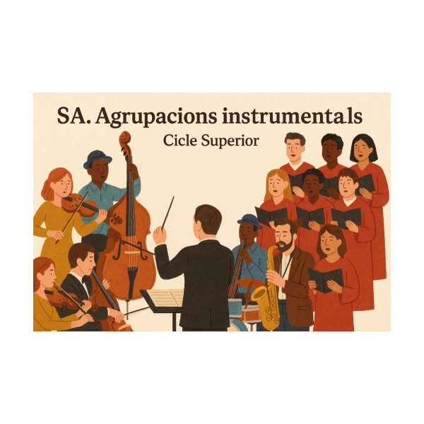 Sa15. AGRUPACIONS INSTRUMENTALS (Cicle Superior)