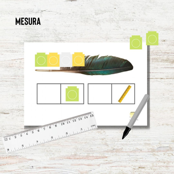Mesura inicial