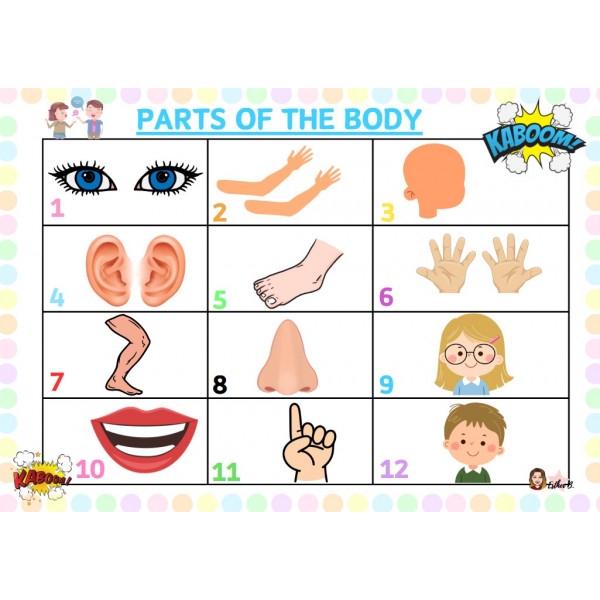 KABOOM PARTS OF THE BODY