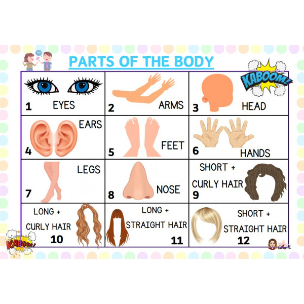 KABOOM PARTS OF THE BODY
