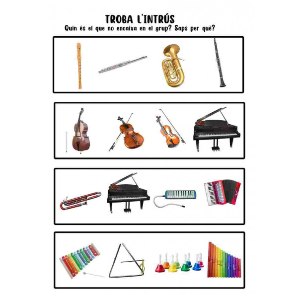 Troba l'instrument intrús.