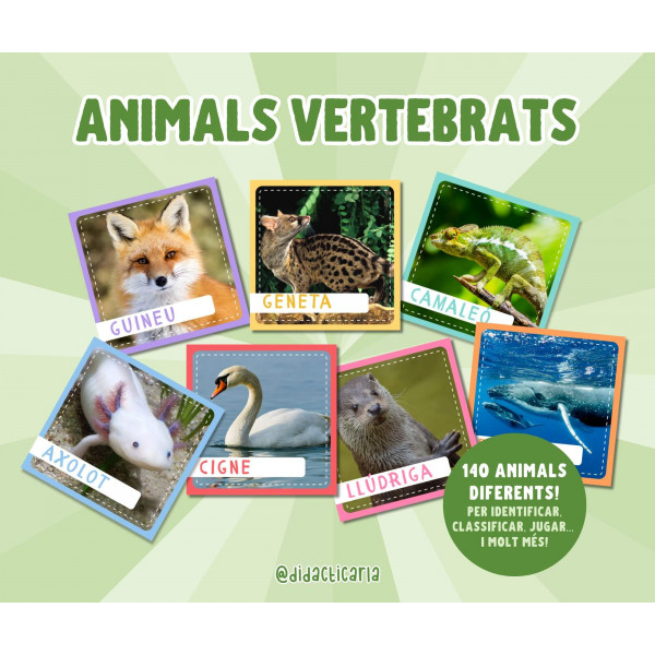 Targetes d'animals vertebrats