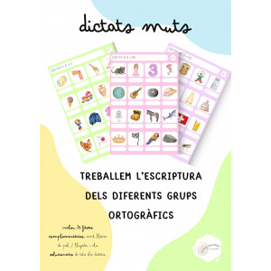 DICTATS MUTS: TREBALLEM L'ESCRIPTURA DELS DIFERENTS GRUPS ORTOGRÀFICS