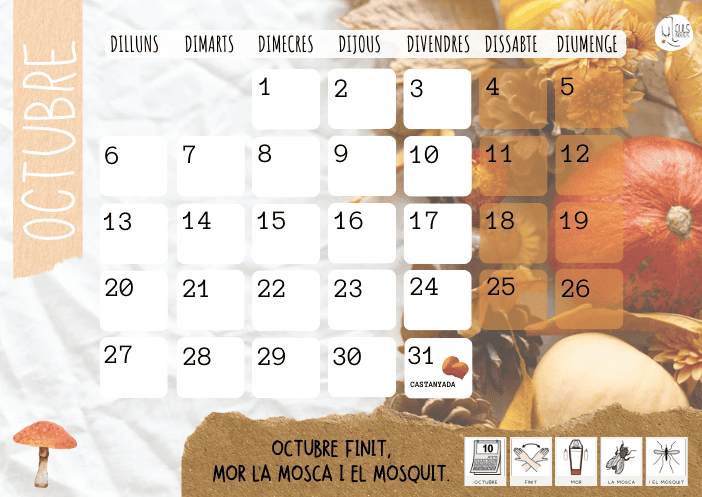 CALENDARI D'AULA A3 CURS 2025-26