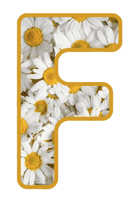 ABECEDARI D'AULA LLETRA-IMATGE