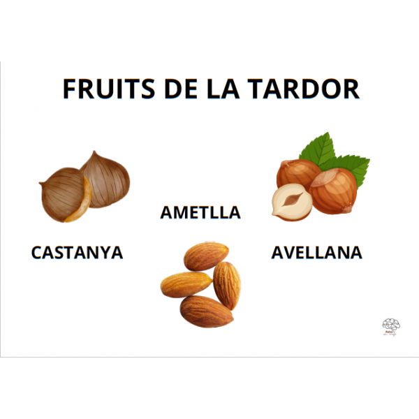 DESCOBRIM LA TARDOR