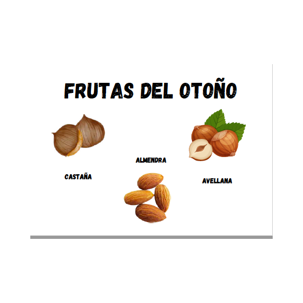 DESCUBRIMOS EL OTOÑO