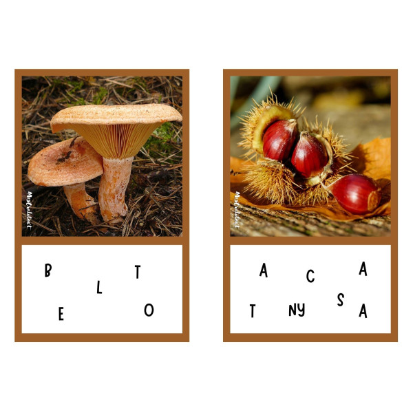 PACK MATERIALS I PROPOSTES DE TARDOR