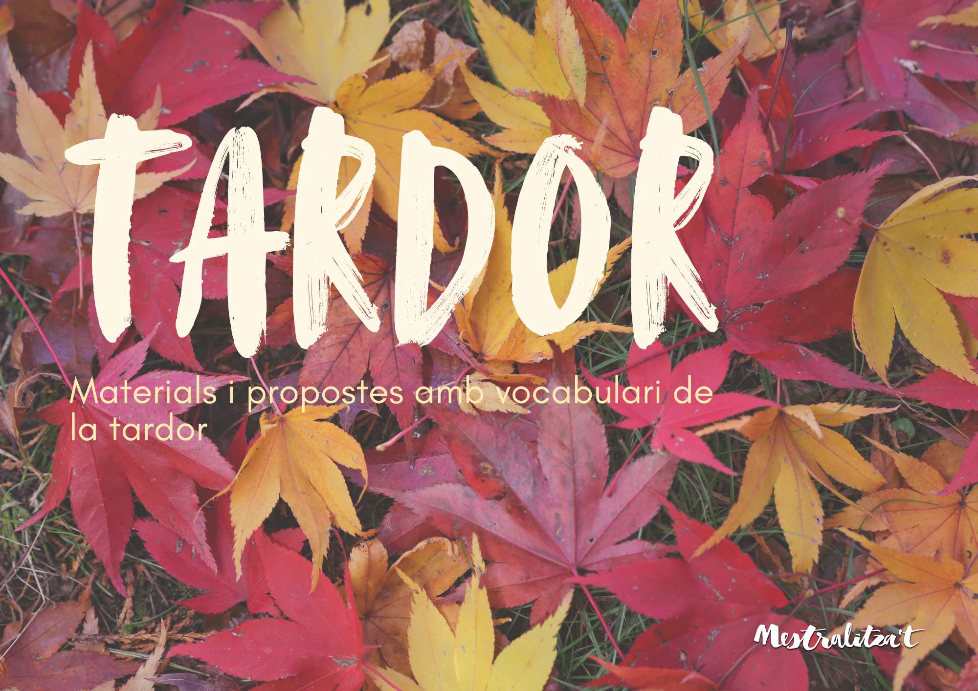 PACK MATERIALS I PROPOSTES DE TARDOR