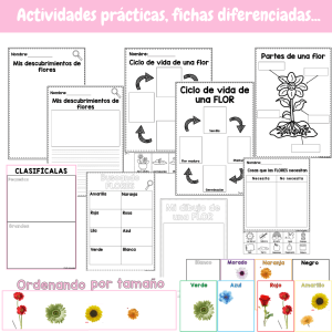 Todo sobre las flores - Rincon de investigación