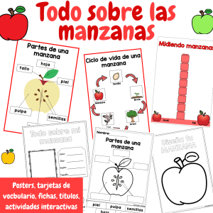 Todo sobre las manzanas - Rincon de ciencias