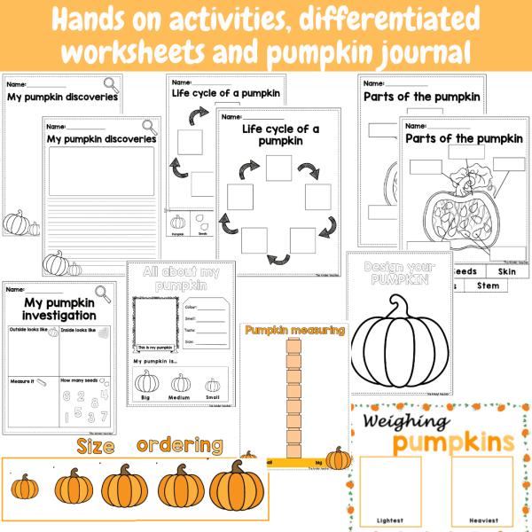 Todo sobre las calabazas - Rincon de investigación