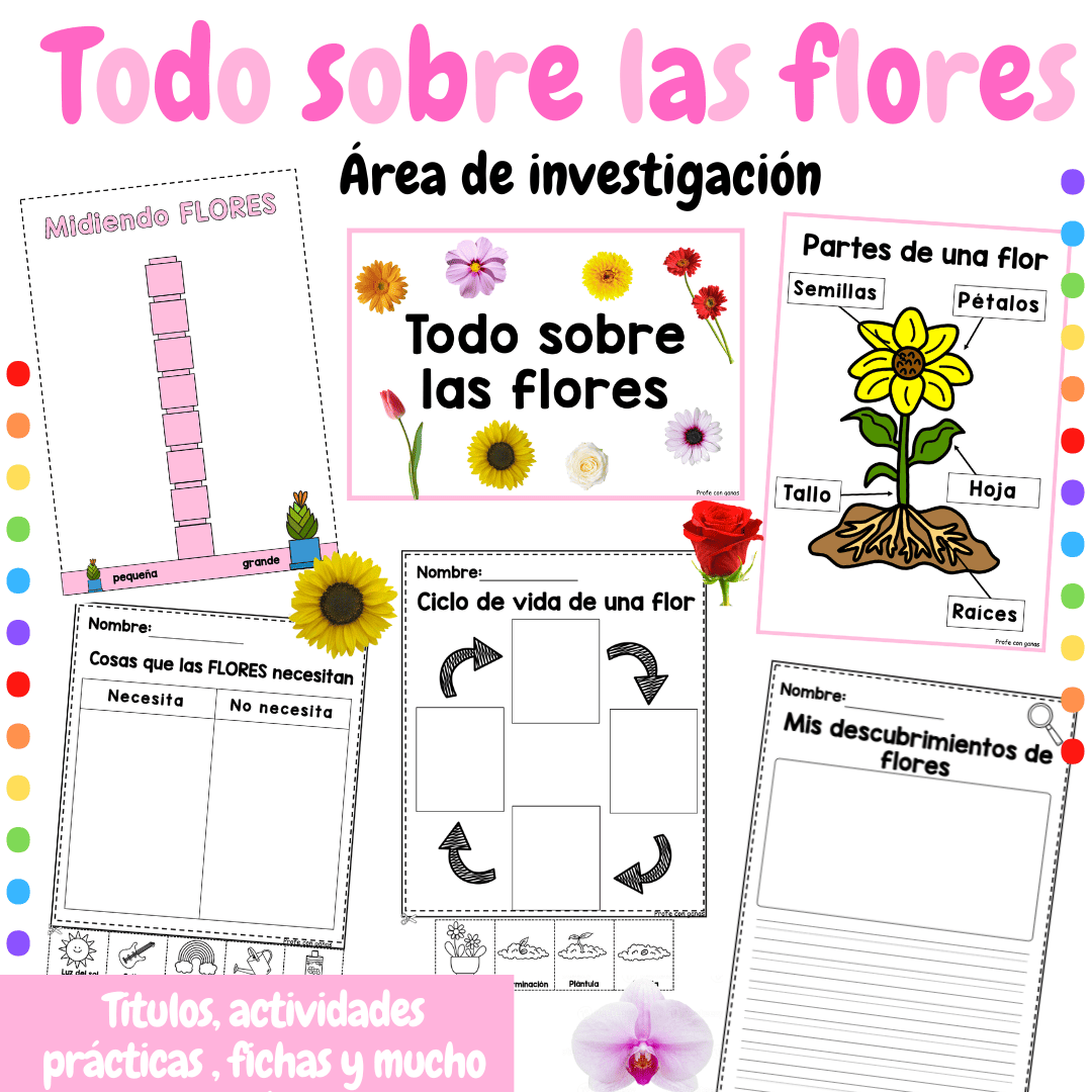 Todo sobre las flores - Rincon de investigación