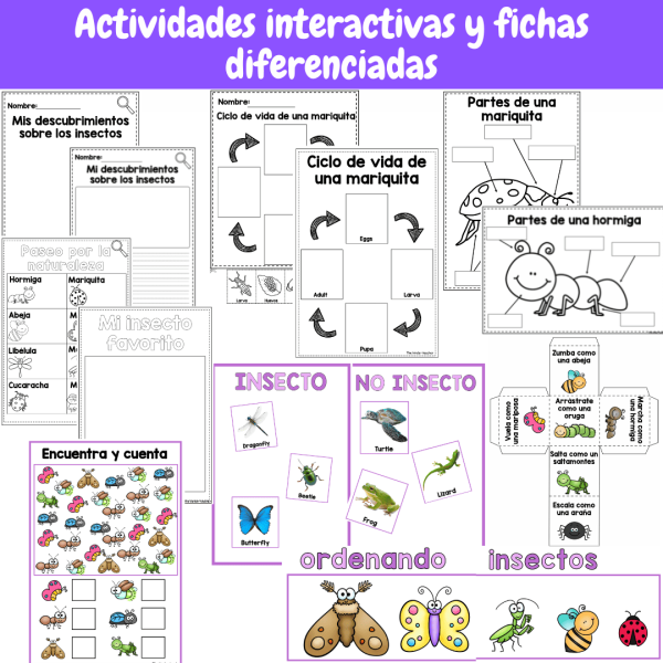 Todo sobre los insectos - Rincón de ciencias - Educación primaria e Infantil