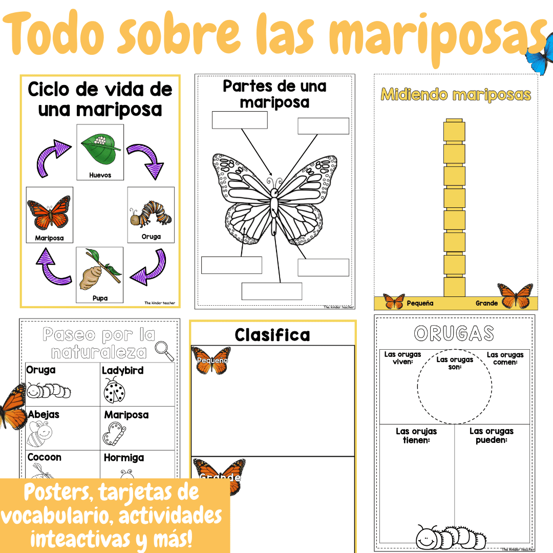Todo sobre las mariposas - Rincón de ciencias