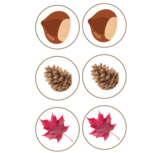 Orientación espacial