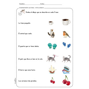 COMPRENSIÓN LECTORA - NIVEL BÁSICO