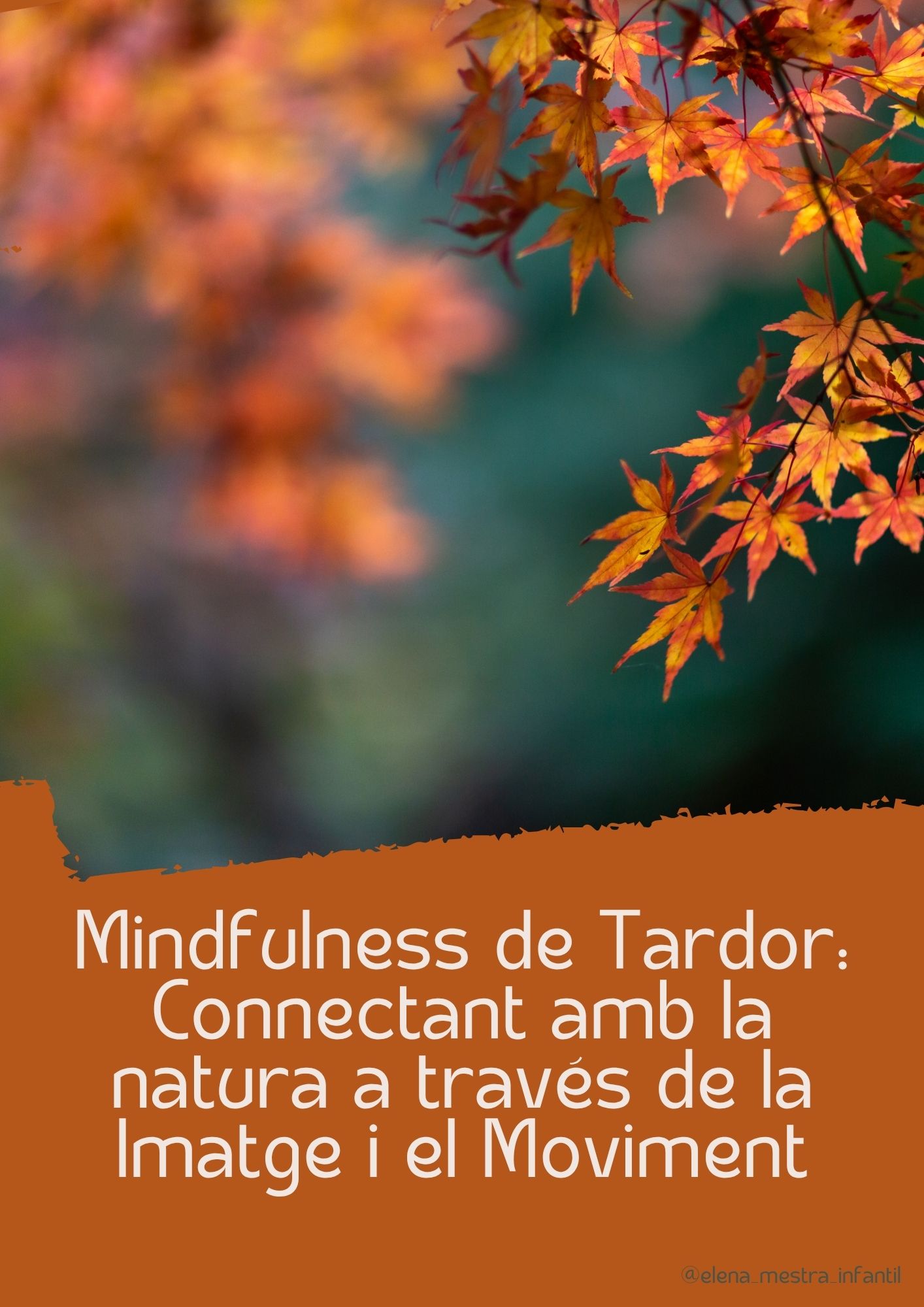 Mindfulness de Tardor: Connectant amb la natura a través de la Imatge i el Moviment