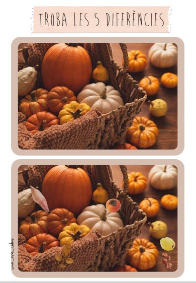 Troba les diferències