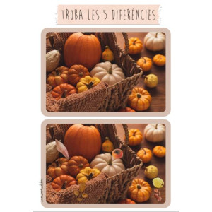 Troba les diferències