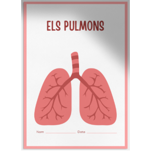 Els pulmons