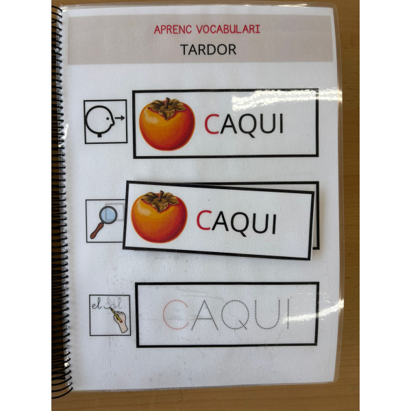 Aprenc vocabulari de tardor TEACCH