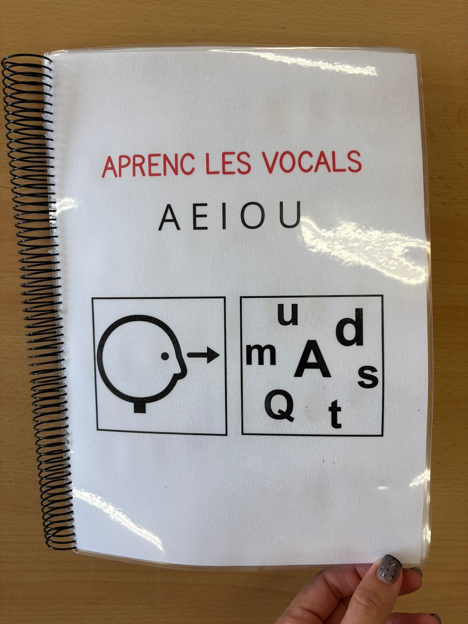 Aprenc les vocals TEACCH