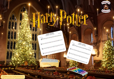 Harry Potter flauta/placas